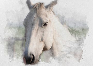 Het witte paard 03