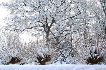 Winter Wonderland magic by Inge Hogenbijl