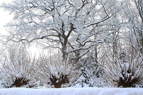 Winter Wonderland magic by Inge Hogenbijl