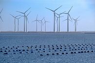 Windenergie en mosselbanken van Willem Laros | Reis- en landschapsfotografie thumbnail