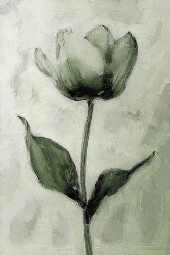 Beauté éphémère | Vert