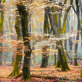 Nous sommes la forêt sur Lars van de Goor