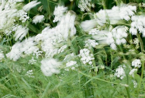 Schwungvolle Flöte im Wind