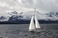 Zeilen