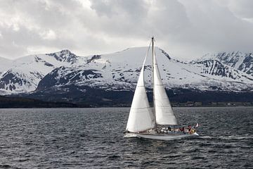 Zeilen sur Irene Hoekstra