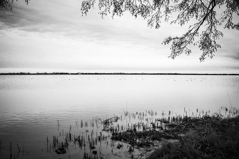 Veluwemeer by Liberty Biesma