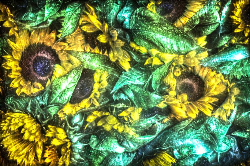 Kirlian aura Aufnahme von Sonnenblumen von MPfoto71