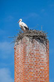 A stork is sitting on a chimney by ManfredFotos
