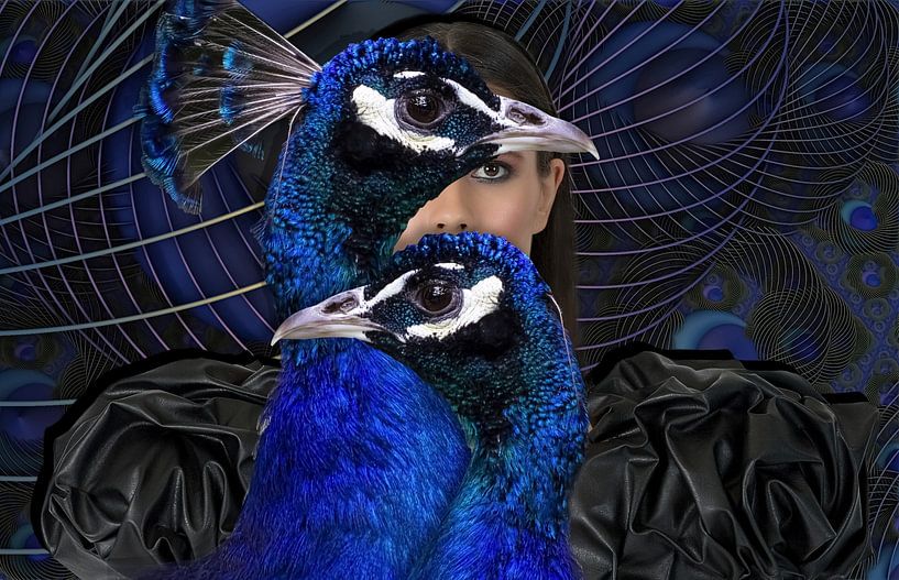Miss Peacock van Gisela- Art for You
