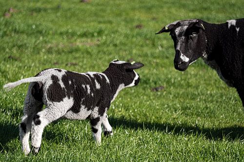 Das ultimative Frühlingsgefühl