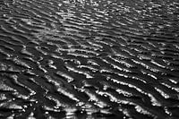 Water Ribbing