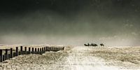 Riding the sea of sand