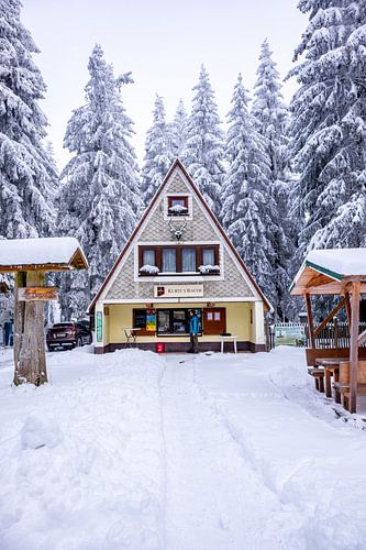 Langlaufen in het besneeuwde Thüringer Woud bij Floh-Seligenthal - Thüringen - Duitsland