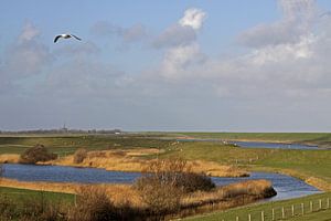 Polder Wagelot sur Texel