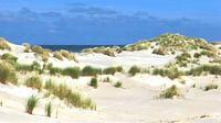De duinen van Terschelling