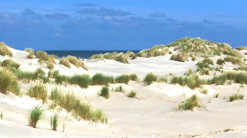 De duinen van Terschelling