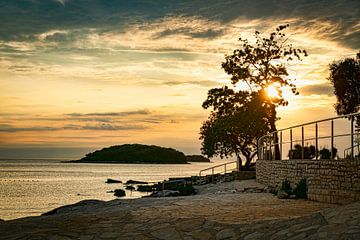 Coucher de soleil sur la plage en Croatie avec un ciel rouge et orange et un arbre solitaire sur ChrisWillemsen