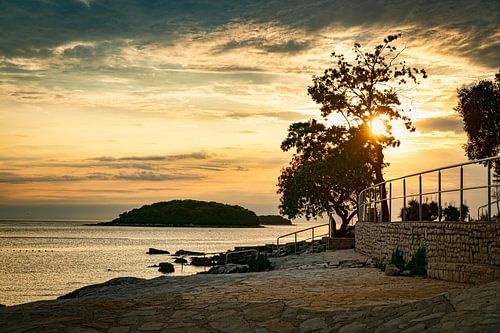 Sunset from the beach in Croatia with red and orange skies and a lone tree