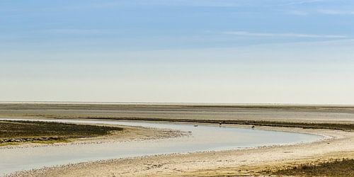 Posthuiswad at Vlieland