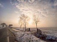 Winterzonnetje