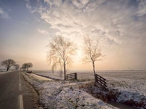 Winterzonnetje
