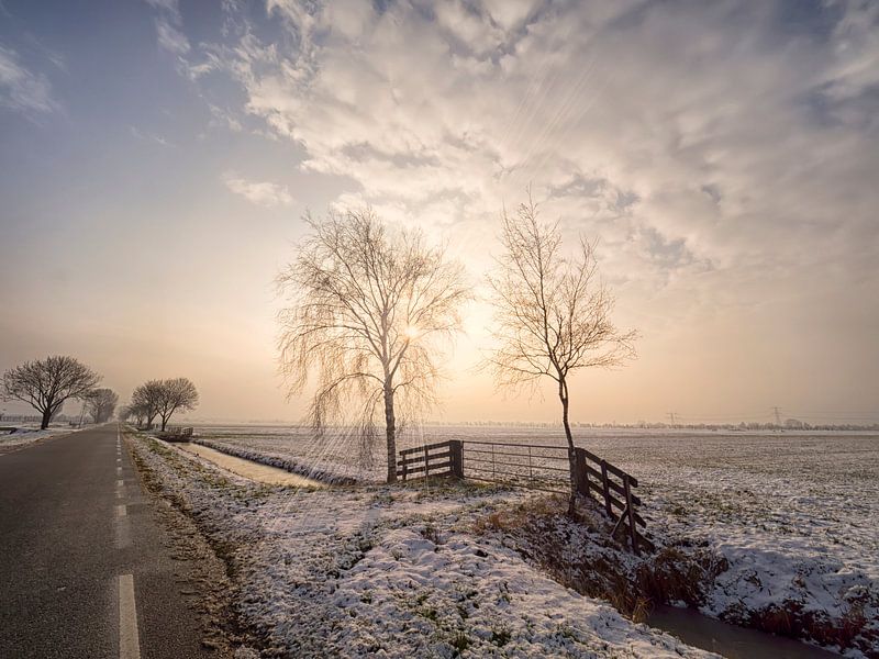 Winterzonnetje by Ron Westbroek