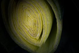 Lauch schmackhaft und gesund von reivilo fotografie