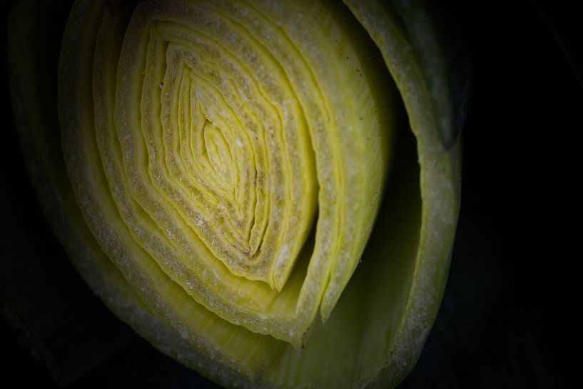 leeks tasty and healthy by reivilo fotografie
