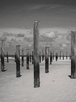 Palendorp Petten - Sable, bois et ciel (noir et blanc)