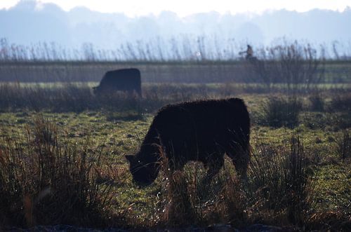 Nederland - natuurmonumenten