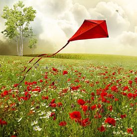 Emanuel Koch Profilfoto