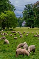 Welkom in het Ilmpark in de klassieke stad Weimar