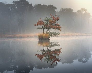 Beautiful reflection by Nick de Jonge - Skeyes