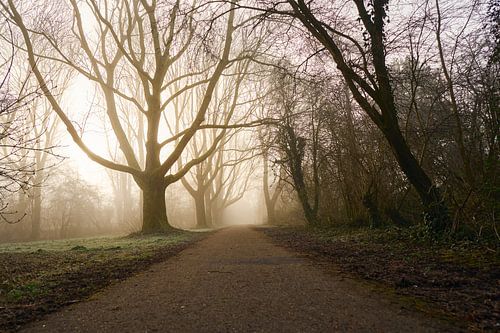 Mist ... van Eric Fotografie