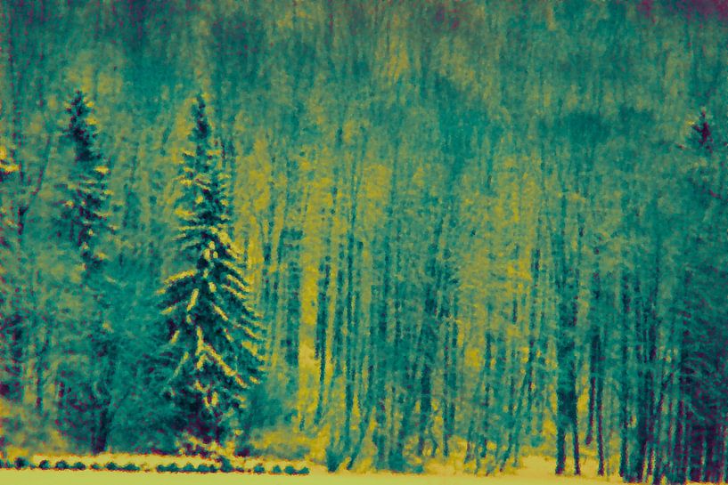 Snow-covered forest in winter in the evening by art559