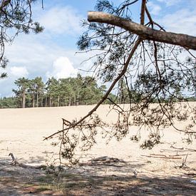 Sahara from Ommen by Alma Rutten