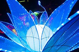 Colors by Brian Morgan