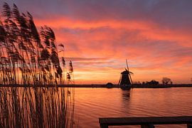 Rottemeren - Sonnenaufgangs-Landschaft von Leo Kramp Fotografie
