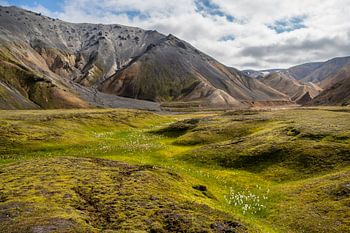 Idylle im isländischen Hochland