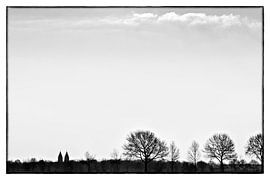 Einighausen van Dennis Robroek