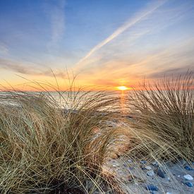 Goldener Sonnenuntergang von Werner Reins