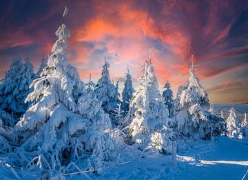 Winterwunderland im Erzgebirge mit Schnee und Sonnenuntergang von Animaflora PicsStock