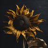 Sonnenblume von On Your Wall