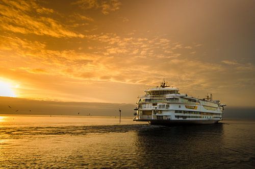 Texelstroom in ochtendgloren