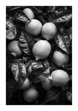 Rijpe citroenen met bladeren in zwart-wit opname van Poster Art Shop