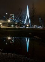 Erasmusbrug (2014)