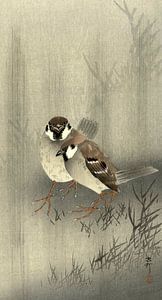 Zwei Ringspatzen im Regen, Ohara Koson