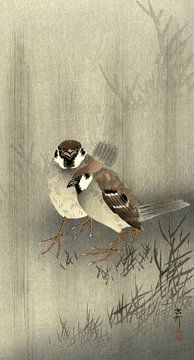 Two ring sparrows in the rain, Ohara Koson