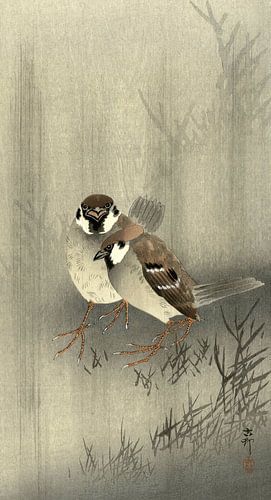 Twee ringmussen in de regen, Ohara Koson
