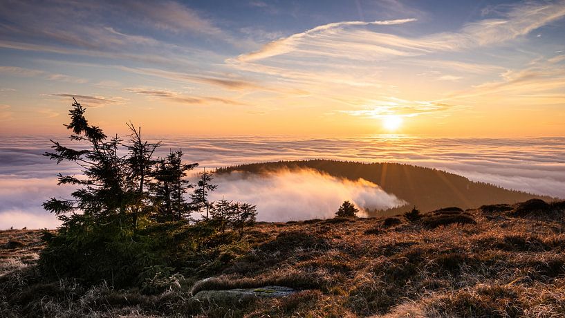 Limite supérieure des arbres dans le Harz par Steffen Henze